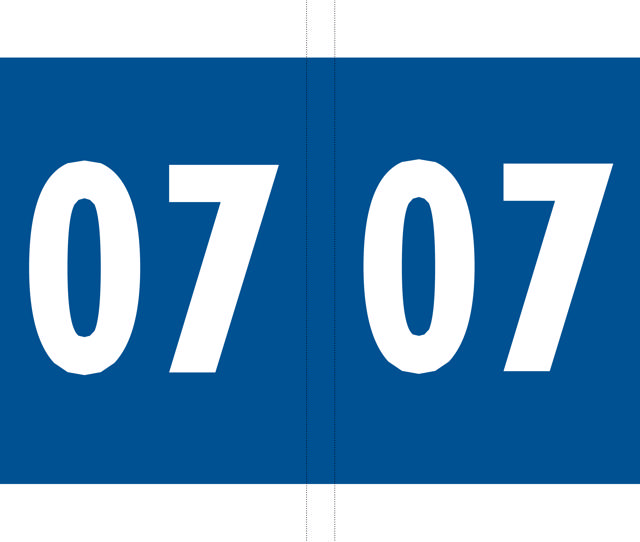 Codetab; roll of 1000 x “17”; dark blue